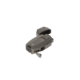 Item_310077.png