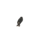 Item_250075.png