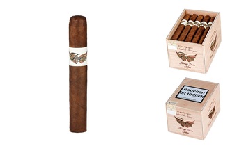 Angel 1899 Nicaragua Robusto L. 12,6cm, Ø 19mm